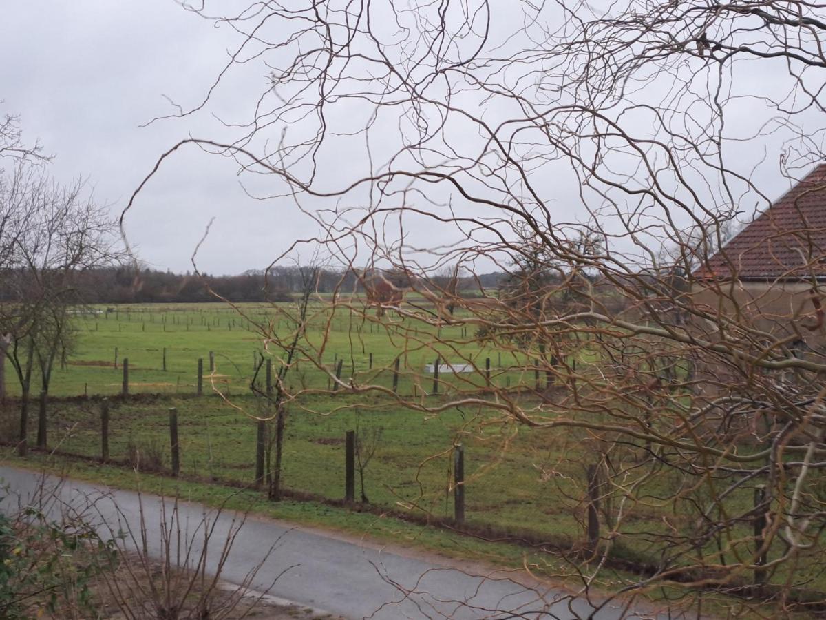 Gnaden- Und Ferienhof Saale Wittgenstein In The Middle Of Gar Nix Bismark Esterno foto